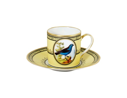 Bernardaud, Jardin du Roi, Espresso cup and saucer