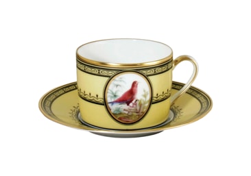 Bernardaud, Jardin du Roi, Tea cup and saucer