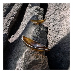 Lalique, Silex bowls, Small bowl, canyon