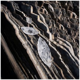 Lalique, Silex bowls, Large bowl, clear