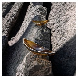 Lalique, Silex bowls, Medium bowl, canyon