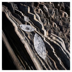 Lalique, Silex bowls, Medium bowl, clear