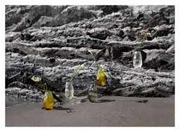 Lalique, Silex vases, Small vase, canyon