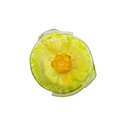 Daum, Citrus, Footed bowl