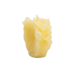 Daum, Citrus, Candle, yellow - photo 2