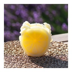 Daum, Citrus, Candle, yellow