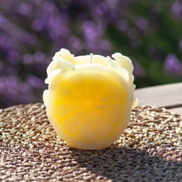 Daum, Citrus, Candle, yellow - photo 3