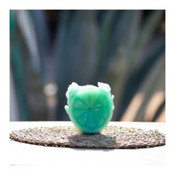 Daum, Citrus, Candle, green