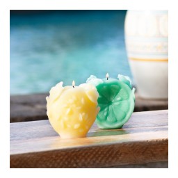 Daum, Citrus, Candle, green