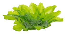 Daum, Tutti Frutti, Large bowl, limited edition