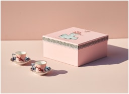 Ginori 1735, Il viaggio di Nettuno, Coffee set for two