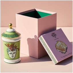 Ginori 1735, Il viaggio di Nettuno, Vase