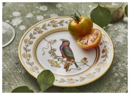 Ginori 1735, Voliere, Bread plate