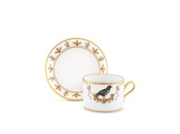 Ginori 1735, Voliere, Tea cup