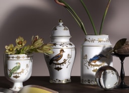 Ginori 1735, Voliere, Vase - photo 2