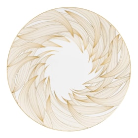 Raynaud, Phénix, Presentation plate