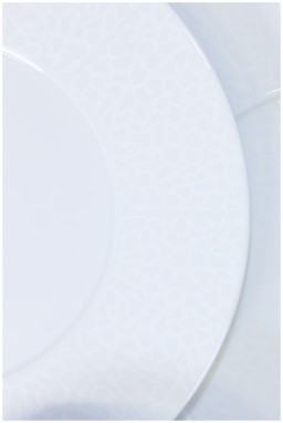 Robert Haviland & C. Parlon, Serengeti White, Presentation plate