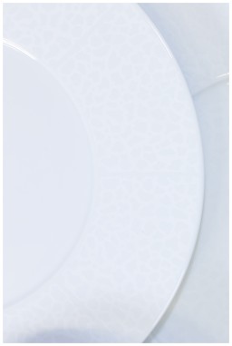 Robert Haviland & C. Parlon, Serengeti White, Dinner plate