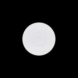 Robert Haviland & C. Parlon, Serengeti White, Bread & butter plate