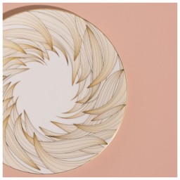 Raynaud, Phénix, Presentation plate