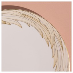 Raynaud, Phénix, Dinner plate