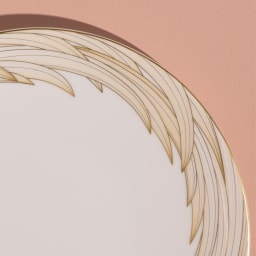 Raynaud, Phénix, Dinner plate