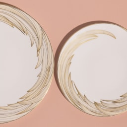 Raynaud, Phénix, Dinner plate