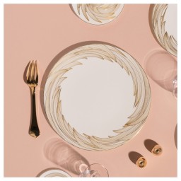 Raynaud, Phénix, Dinner plate