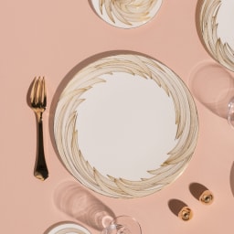 Raynaud, Phénix, Dinner plate