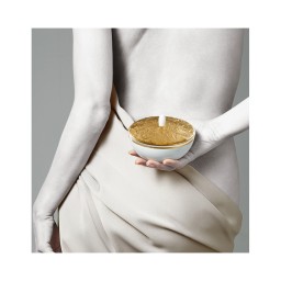 Raynaud, Italian Renaissance Gold, Creamer
