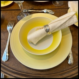 J.L Coquet, Hémisphère Mimosa, Presentation plate