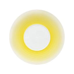 J.L Coquet, Hémisphère Mimosa, Dinner plate