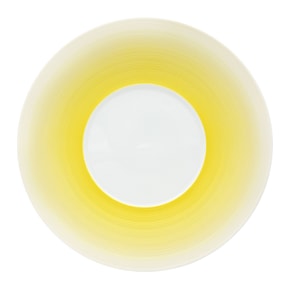 J.L Coquet, Hémisphère Mimosa, Dinner plate