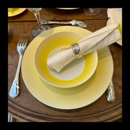 J.L Coquet, Hémisphère Mimosa, Bowl, medium