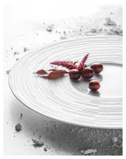 J.L Coquet, Labyrinth, Rim soup plate