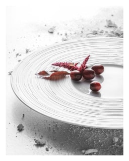 J.L Coquet, Labyrinth, Dinner plate