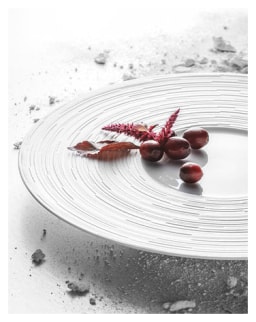 J.L Coquet, Labyrinth, Presentation plate