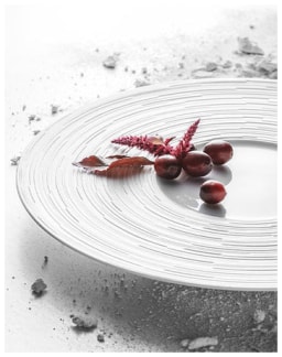 J.L Coquet, Labyrinth, Gourmet plate