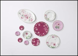 Ginori 1735, Florenza, Presentation plate