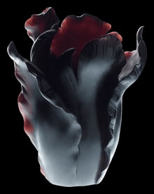 Daum, Tulipe vases, Appaloosa Vase