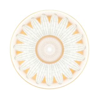 Daum, Or d’Abeille Dinnerware, Set of 2 bread plates