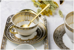 Robert Haviland & C. Parlon Syracuse Taupe Essential set for 6 persons
