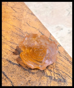 Daum, Rose Royale, Decorative flower