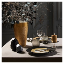 Raynaud, Minéral irisé Black, Dessert plate