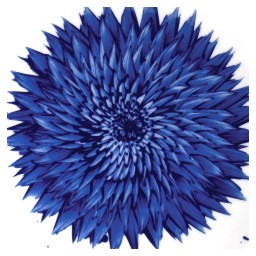 Bernardaud, In bloom, Rectangular tray