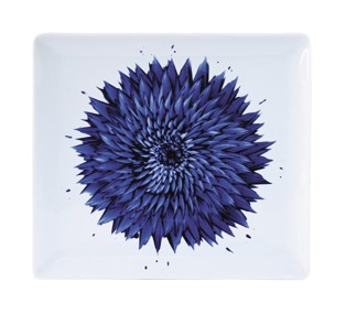 Bernardaud, In bloom, Rectangular tray