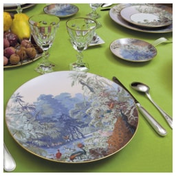 Haviland, Le Brésil, Dinner set for 6 persons