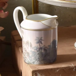 Haviland, Le Brésil, Creamer - photo 3