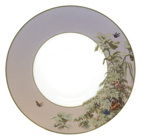 Haviland, Le Brésil, Rim soup plate