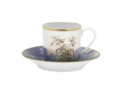 Haviland, Le Brésil, Coffee cup and saucer